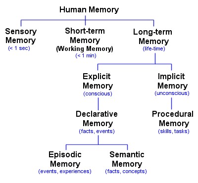 Types Of Memory Chart